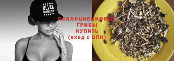 спиды Алексеевка