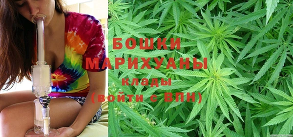 индика Протвино