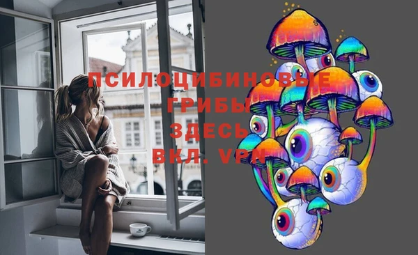 прущие крисы Приозерск
