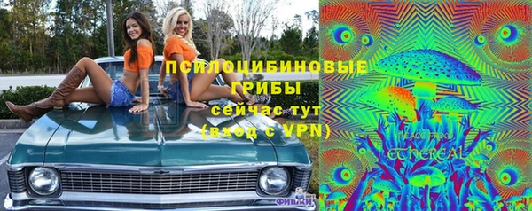 ешки Арсеньев