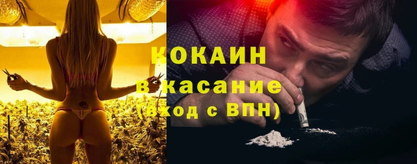 ешки Арсеньев