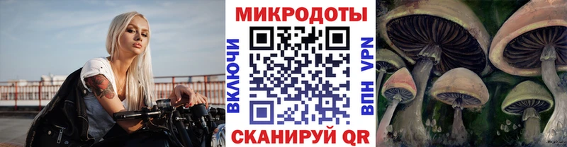 МЕГА онион  Приморск  Псилоцибиновые грибы Psilocybe 