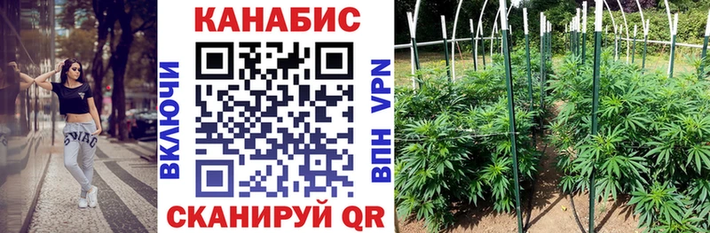 Конопля AK-47  Приморск 
